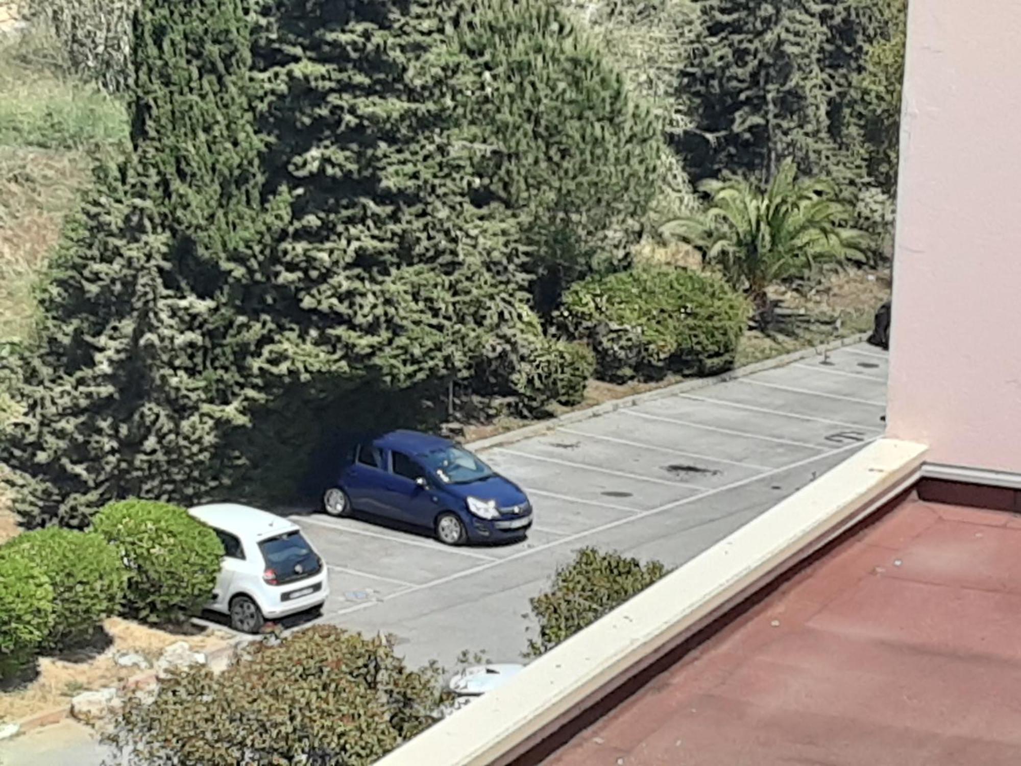 Apartment Rdj 24 M2 Et Piscine